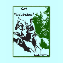 Got Endurance? Shirt