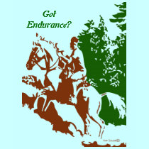 Got Endurance? - Shirt