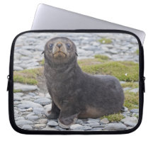 Got Fish? Laptop Sleeve