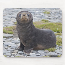 Got Fish? Mousepad