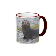Got Fish? Mug