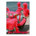 Got Flamingos!,  cards