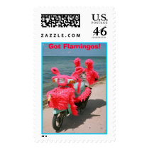  Got Flamingos! postage