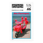  Got Flamingos! postage