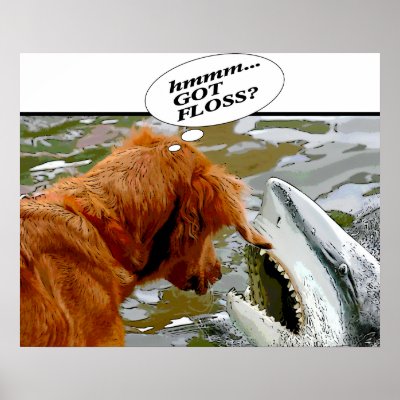 http://rlv.zcache.com/got_floss_dog_in_sharks_mouth_humor_poster-p228803617645072716trma_400.jpg