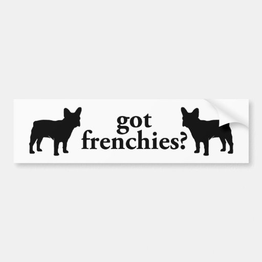 got frenchies? bumper stickers