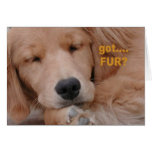 got...FUR? cards