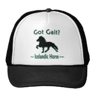 Got Gait? My Icelandic Horse Does Hat