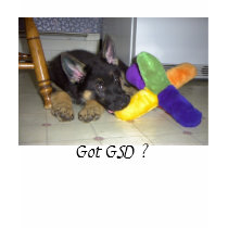 Got GSD ? t-shirts by mmshiloh Got GSD ? t-shirts