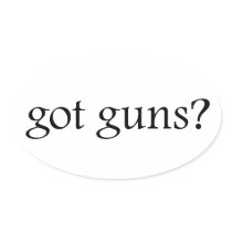 Got Guns? stickers