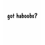 got haboobs? tees