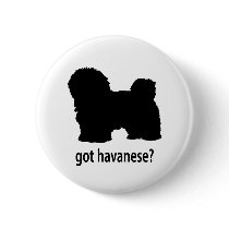 Got Havanese Buttons