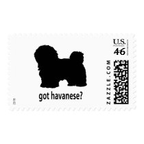 Got Havanese Postage Stamp