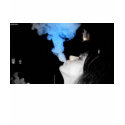 Got Hookah?? t-shirts
