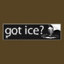 Got Ice? Ice Fishing
