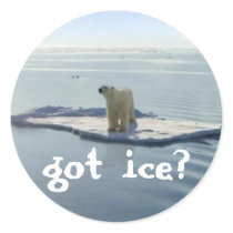 GOT ICE? ROUND STICKERS