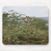 Got It! - Mousepad by dchaddad Got It! - Mousepad