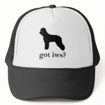 got IWS? hats