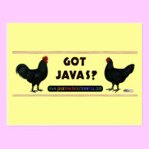 Got Javas? postcards