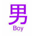 Got Karma? "Boy" Purple Kanji Symbol t-shirts
