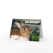Got Karpas? cards