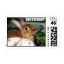 Got Karpas? Stamp by peelapom Got Karpas? Stamp