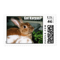 Got Karpas? Stamp stamps