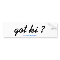 "got ki ?" Bumper Sticker