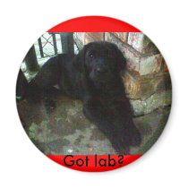 Got lab? magnets by aimwolf Got lab? magnets