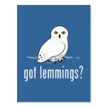 got lemmings? Postcard
