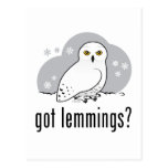 got lemmings? postcard
