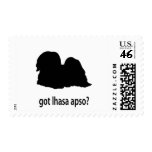 Got Lhasa Apso postage