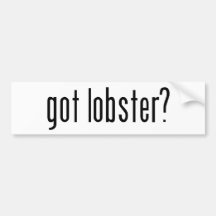 got lobster? bumper sticker
