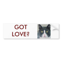 Got Love Bumper Sticker Cat Kitty Funny bumper stickers