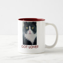GOT LOVE? Cat Kitty Coffee Mug Valentine's Day