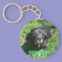 GOT LOVE? keychains