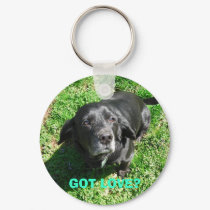 GOT LOVE? keychains