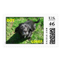 GOT, LOVE? POSTAGE STAMPS