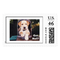 Got Mail? postage