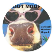 GOT MOO POT STICKER