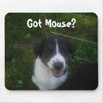 Got Mouse? mousepads