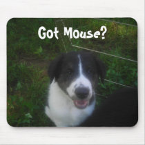 Got Mouse? mousepads