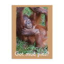 Got mud pies? postcards by Rebecca_Reeder Got mud pies? postcards