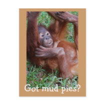 Got mud pies? postcards