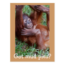 Got mud pies? postcards