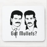 Got Mullets? Got Mullets?