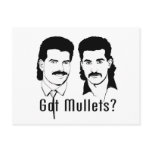 Got Mullets? Got Mullets?