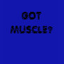 GOT MUSCLE? Men's Tank
