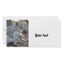 Got My Lunch photo cards by Debrene Got My Lunch photo cards