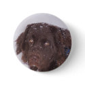 Got Newf? button